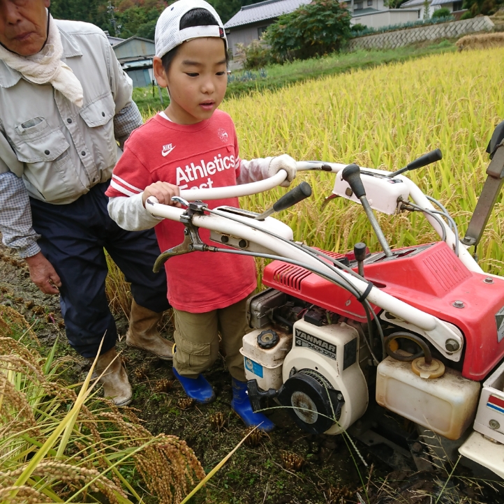 山村留学活動写真
