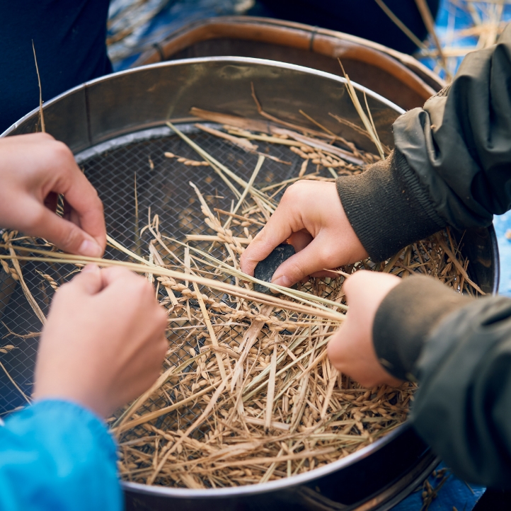 山村留学活動写真