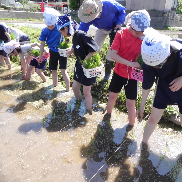 山村留学活動写真